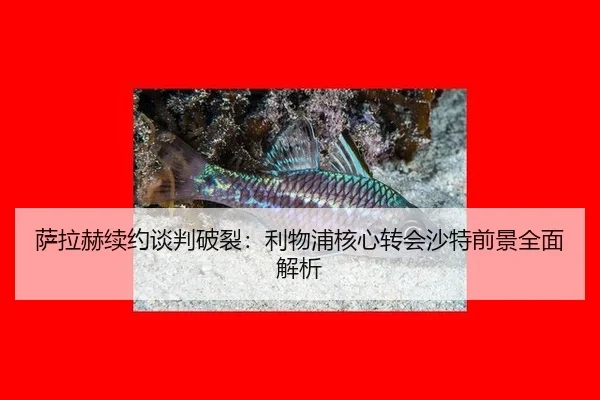 萨拉赫续约谈判破裂：利物浦核心转会沙特前景全面解析