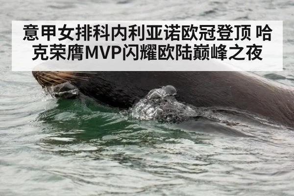 意甲女排科内利亚诺欧冠登顶 哈克荣膺MVP闪耀欧陆巅峰之夜
