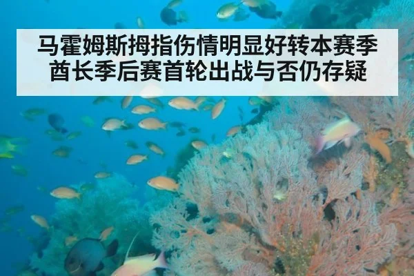 马霍姆斯拇指伤情明显好转本赛季酋长季后赛首轮出战与否仍存疑