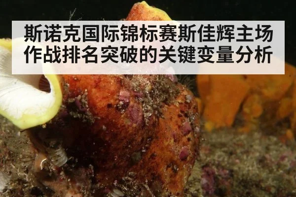 斯诺克国际锦标赛斯佳辉主场作战排名突破的关键变量分析
